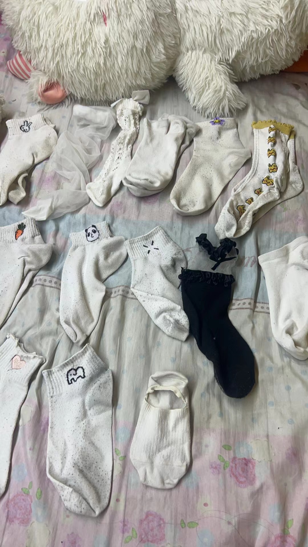 微信图片_20240622002801.jpg